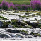 Wasser meets Langzeitbelichtung 