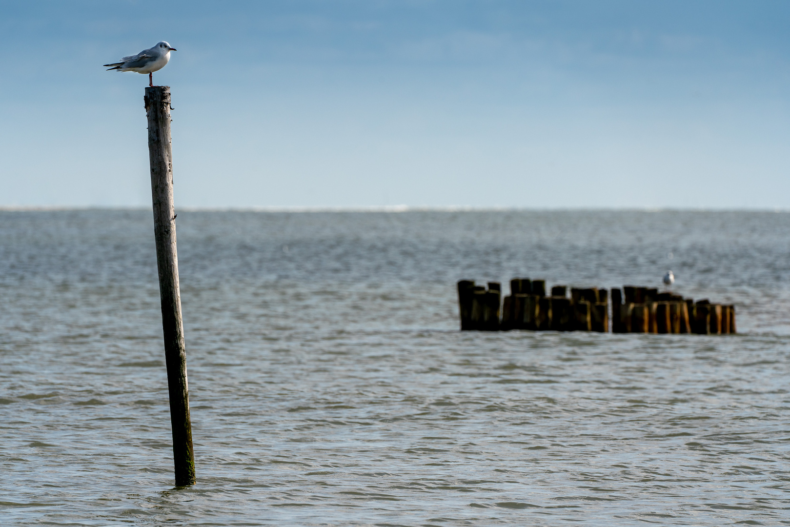 Wasser, mehr Wasser