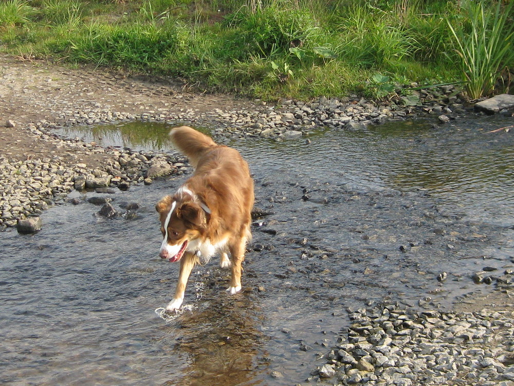 Wasser mein Element