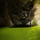 Wasser mit Grün, El Guro, La Gomera