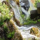 Wasser mit Grünzeugs!!!