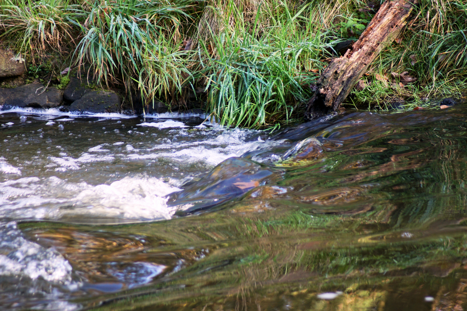 Wasser mit Spiegelung