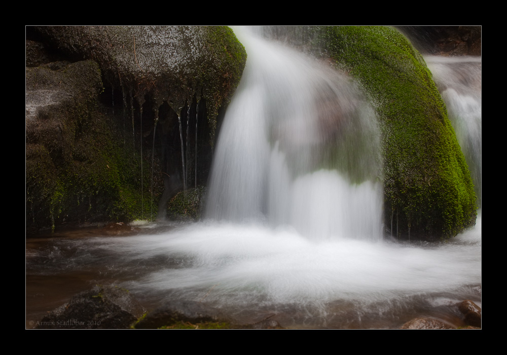 Wasser - Moos - Steine