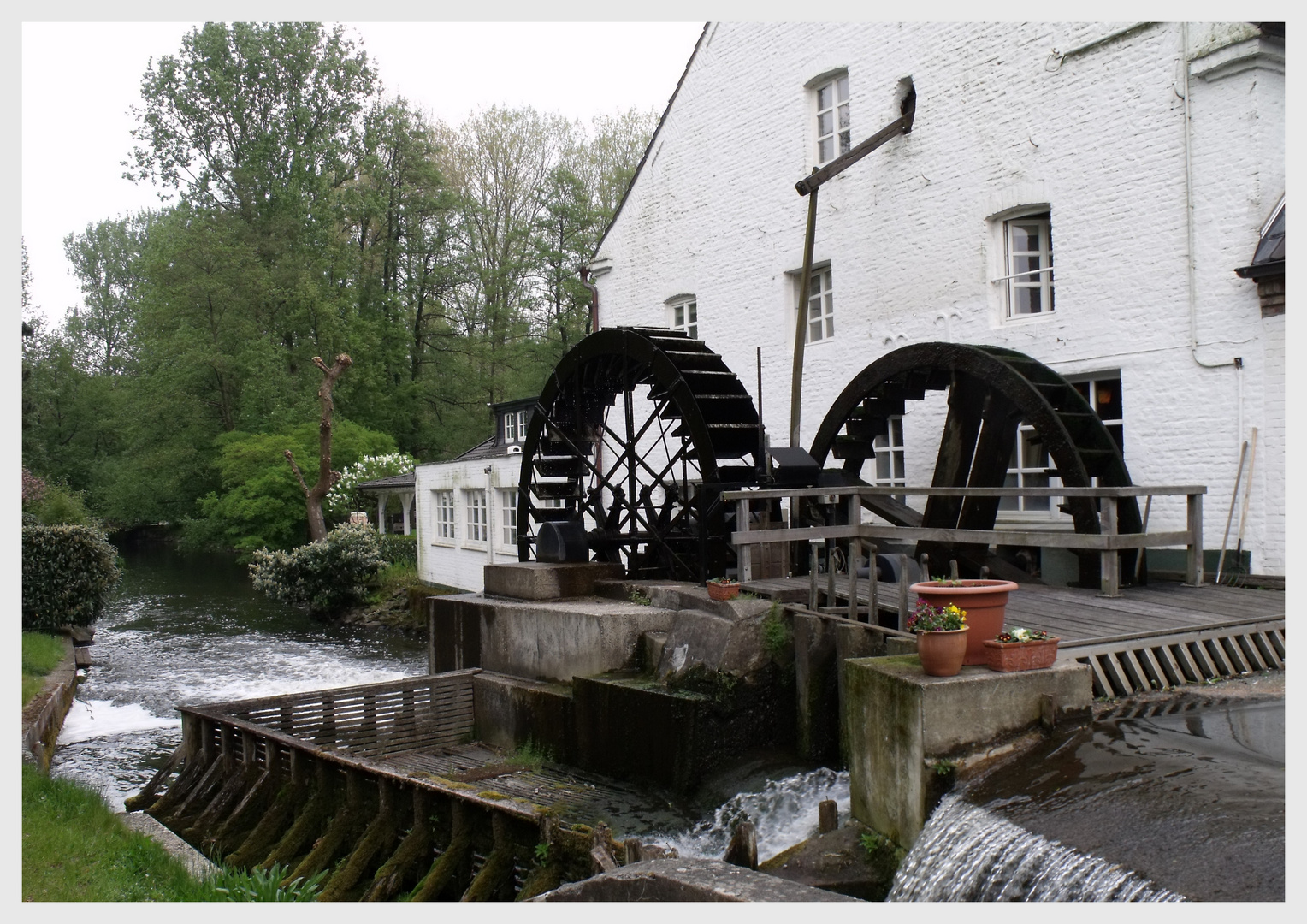 Wasser Mühle am Hariksee