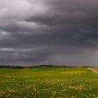 Wasser nachschub kommt...