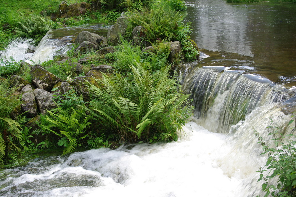 Wasser & Natur