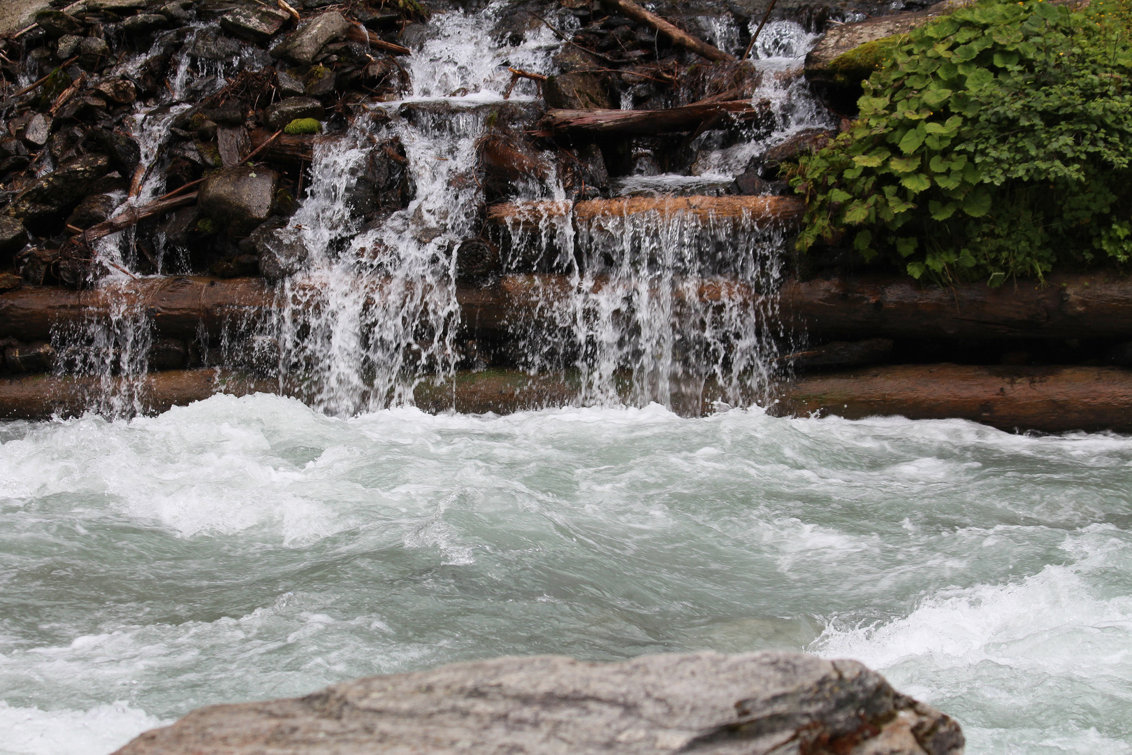 Wasser - Natur - Wild und schön