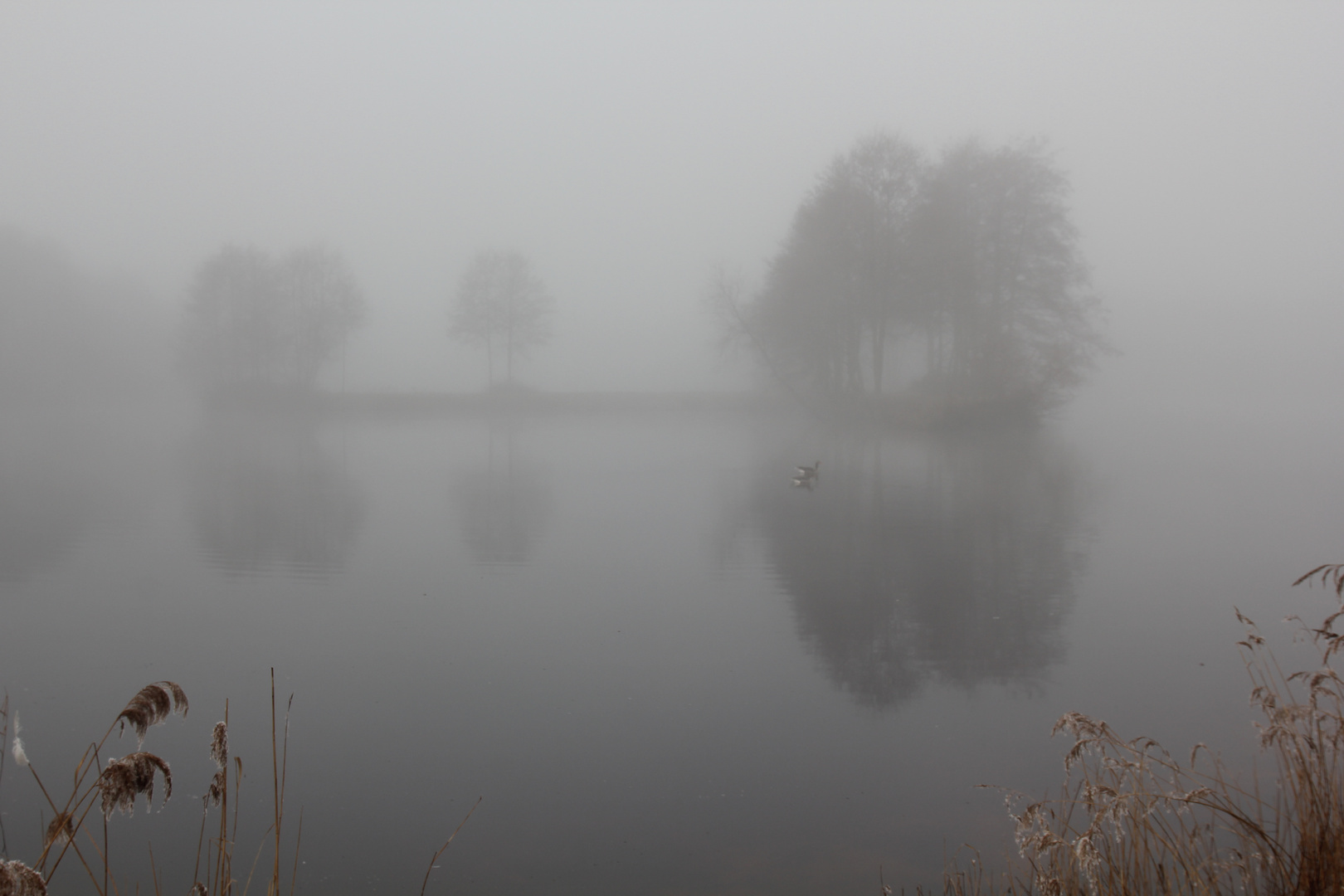 Wasser, Nebel und ein Spiegelbild.