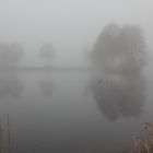 Wasser, Nebel und ein Spiegelbild.