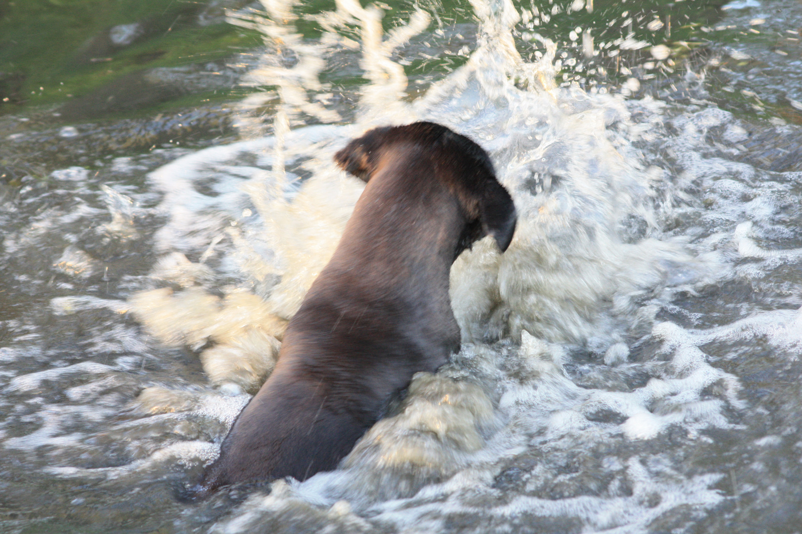 Wasser, nicht nur zum waschen da