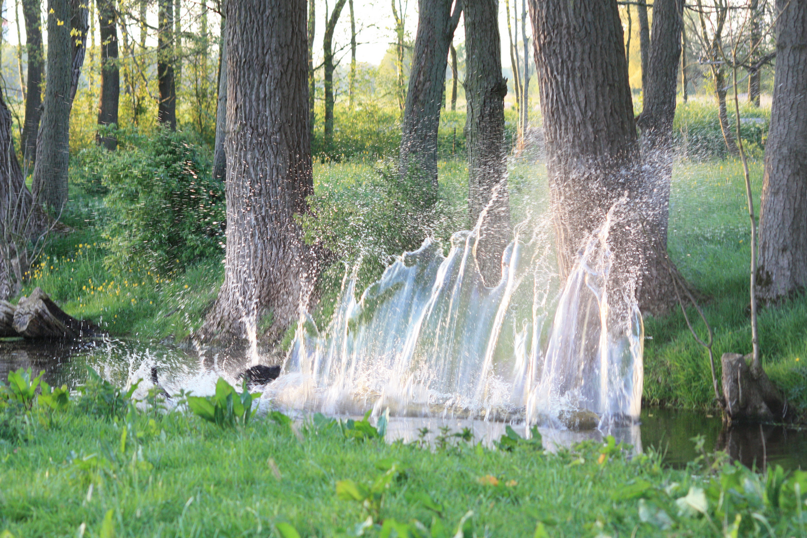 Wasser, nicht nur zum waschen da