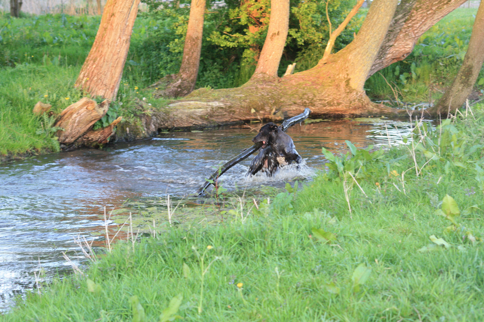 Wasser, nicht nur zum waschen da