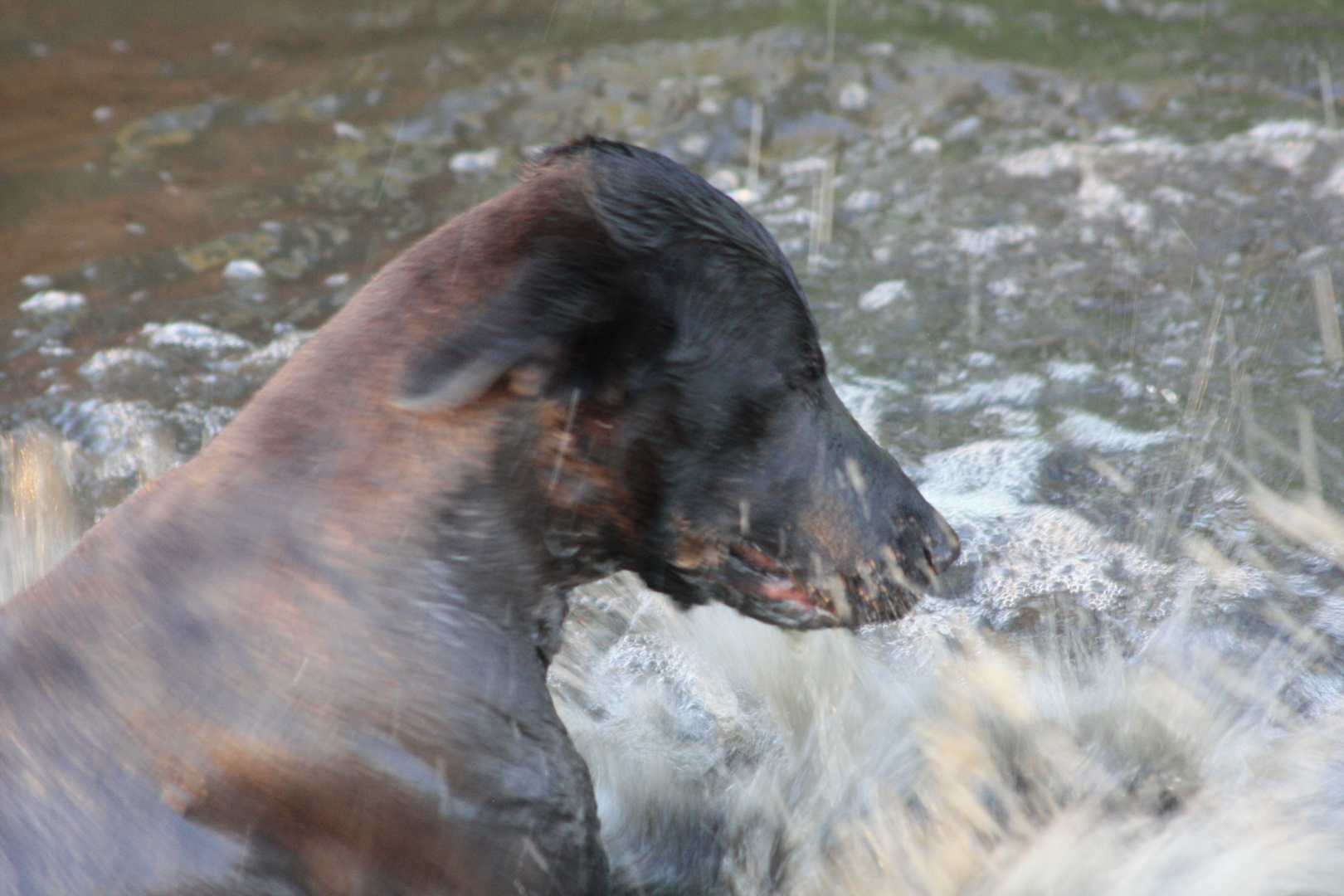 Wasser, nicht nur zum waschen da