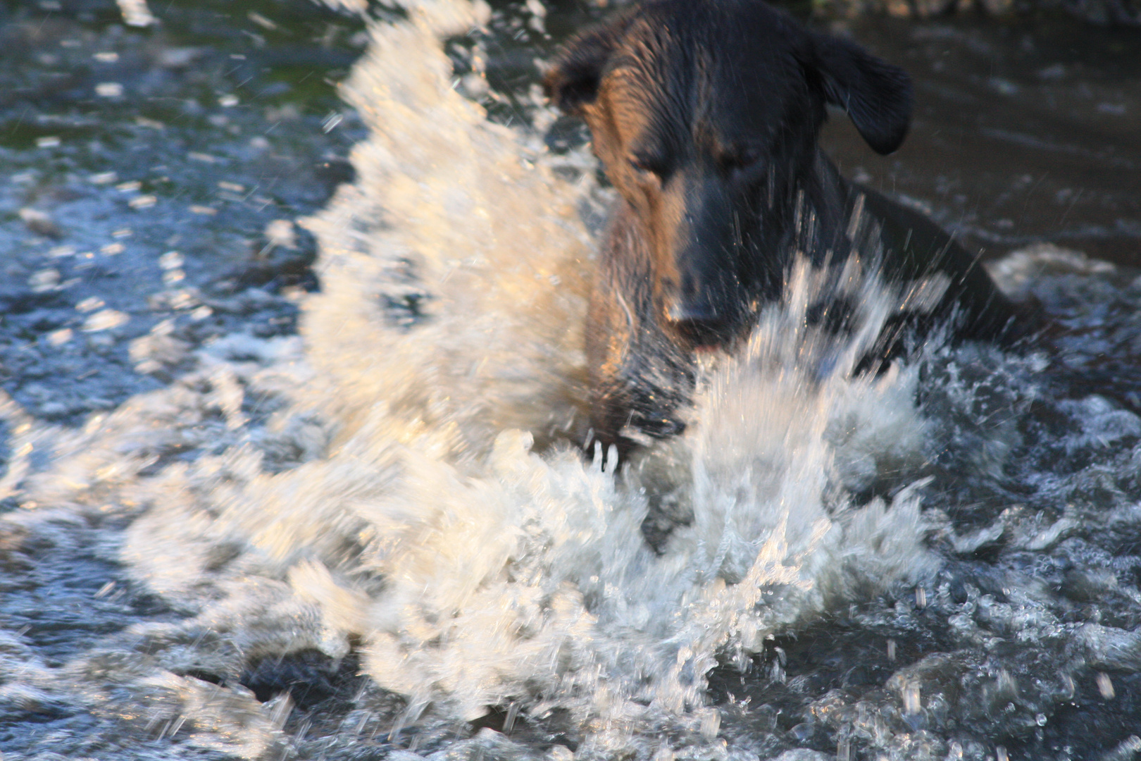 Wasser, nicht nur zum waschen da