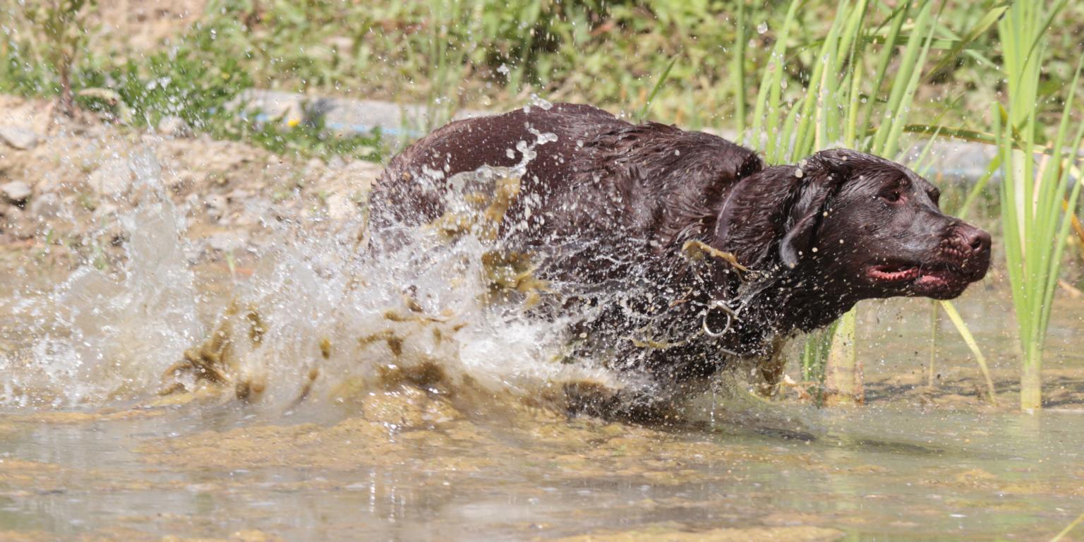 Wasser ? Nix wie rein !!!