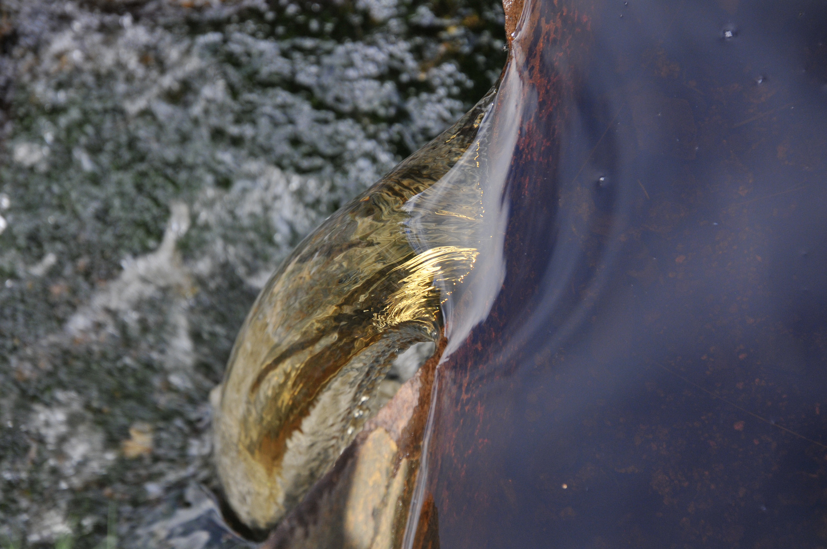 Wasser - Oderteich - Harz- Weltkulturerbe