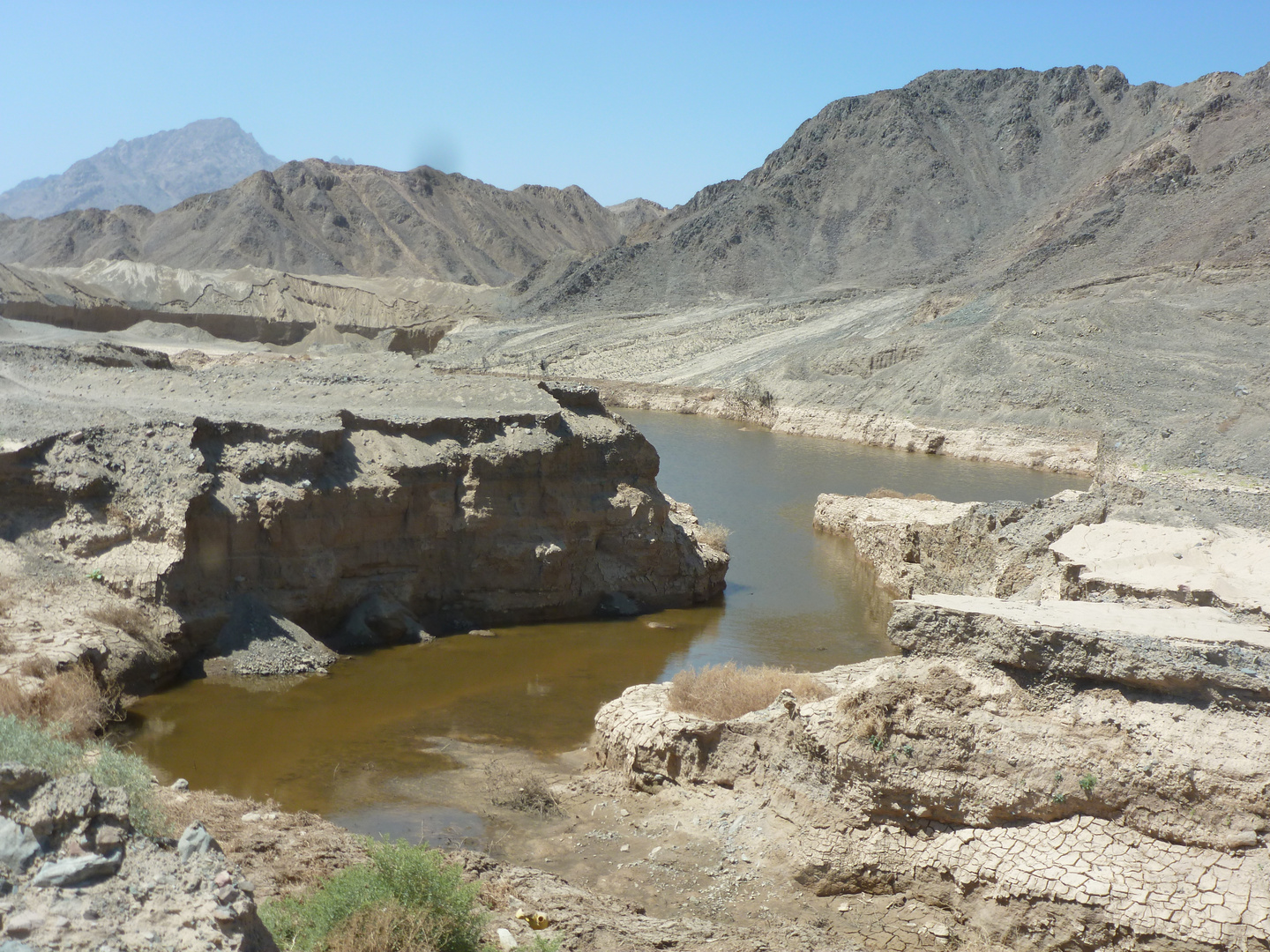 Wasser Quele in der Wüste Egyptens