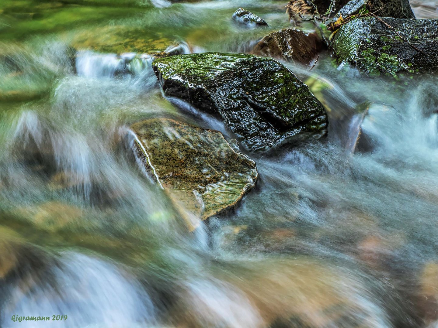 wasser: quell des lebens....