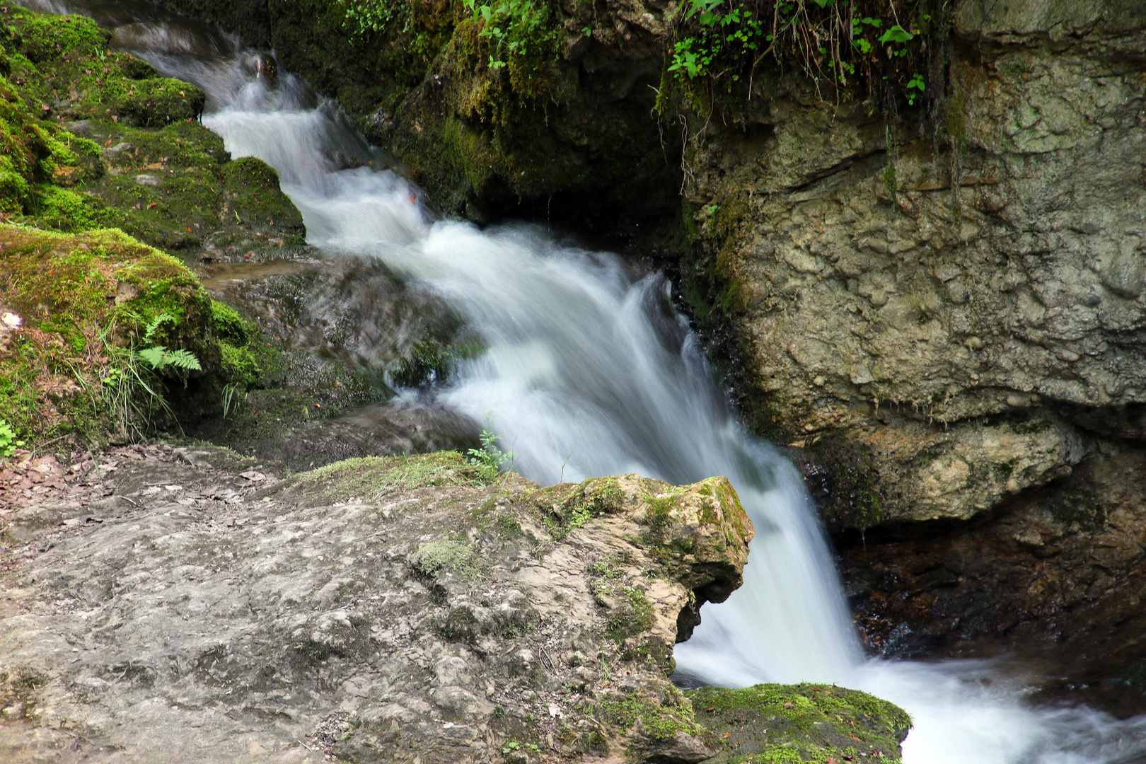 Wasser; Quell des Lebens