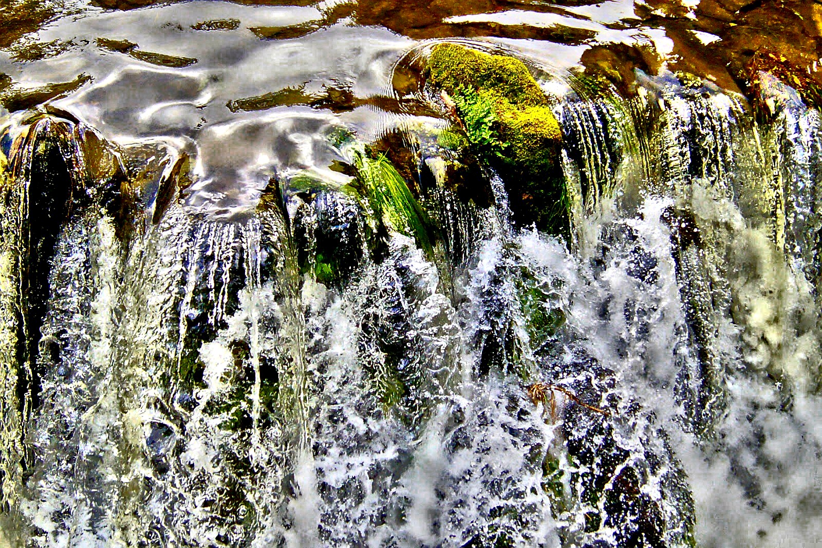 Wasser ,Quelle des Leben's