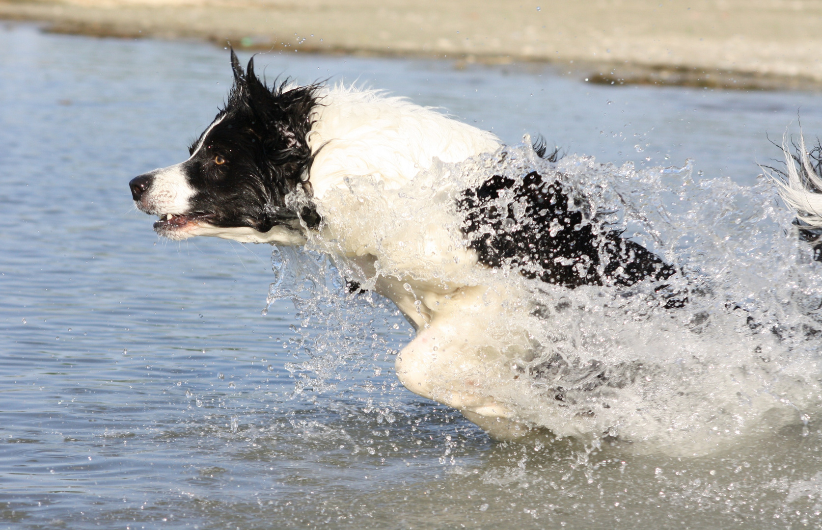 Wasser-Rakete