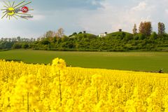 WASSER, Raps und mehr