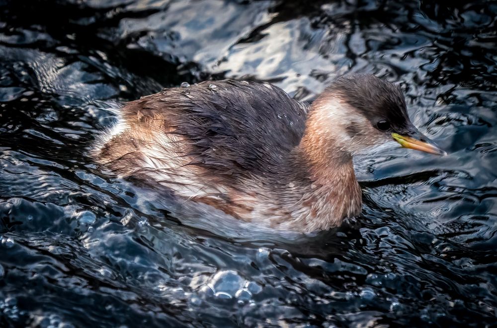 "WASSER RUTSCHE"