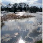 Wasser satt an der Elbe