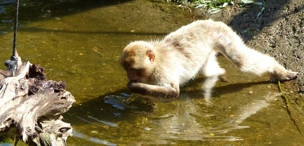 wasser schöpfen