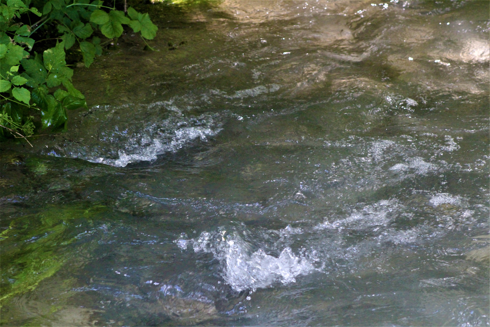 Wasser schöpfen am quirrligen Bach 