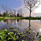 wasser, sonne, bäume