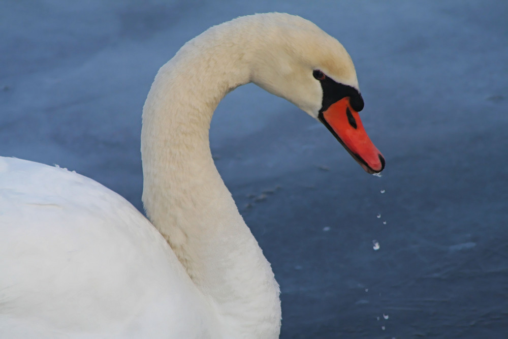 Wasser ~ sonst nichts