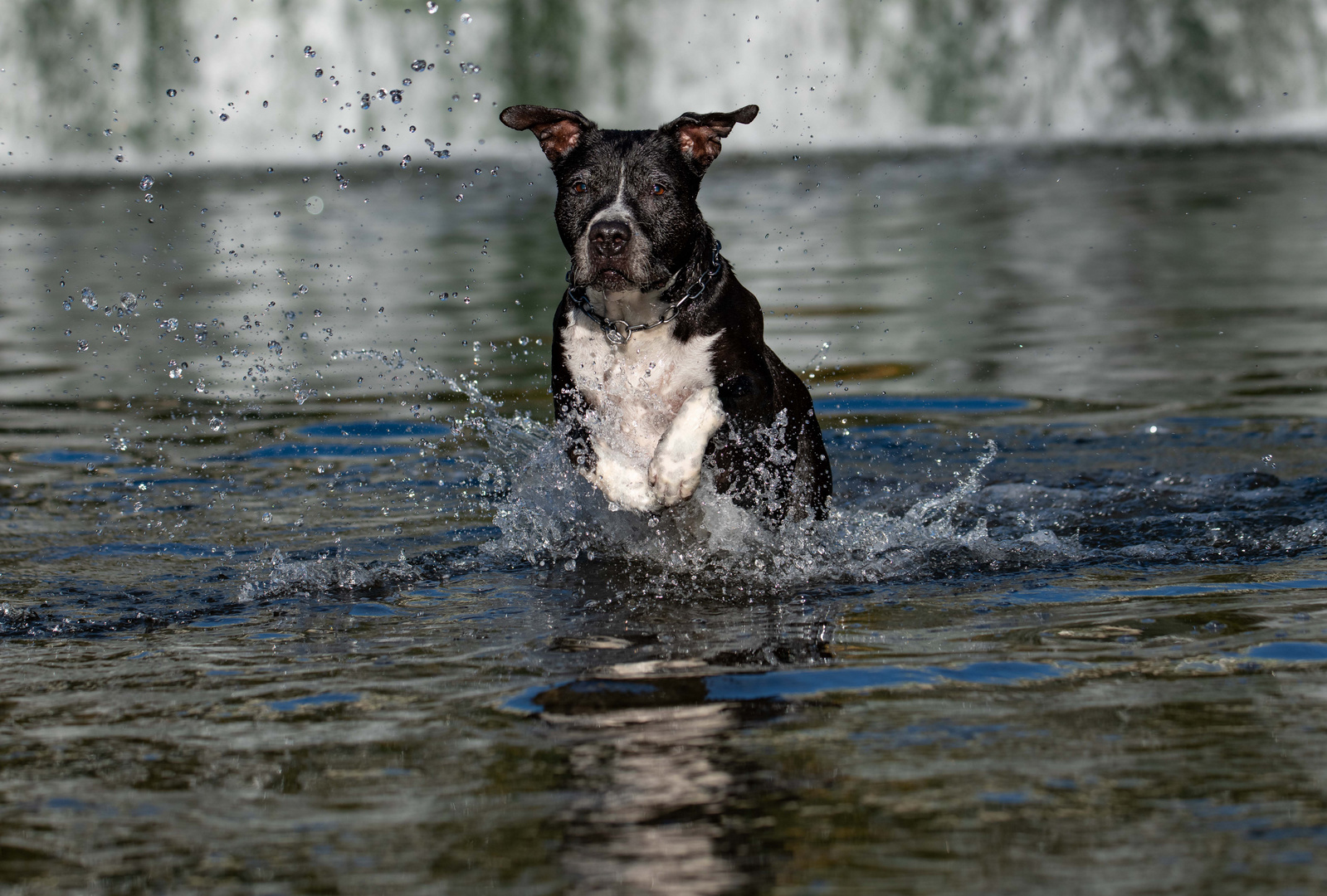 Wasser-Spaß....