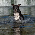 Wasser-Spaß....