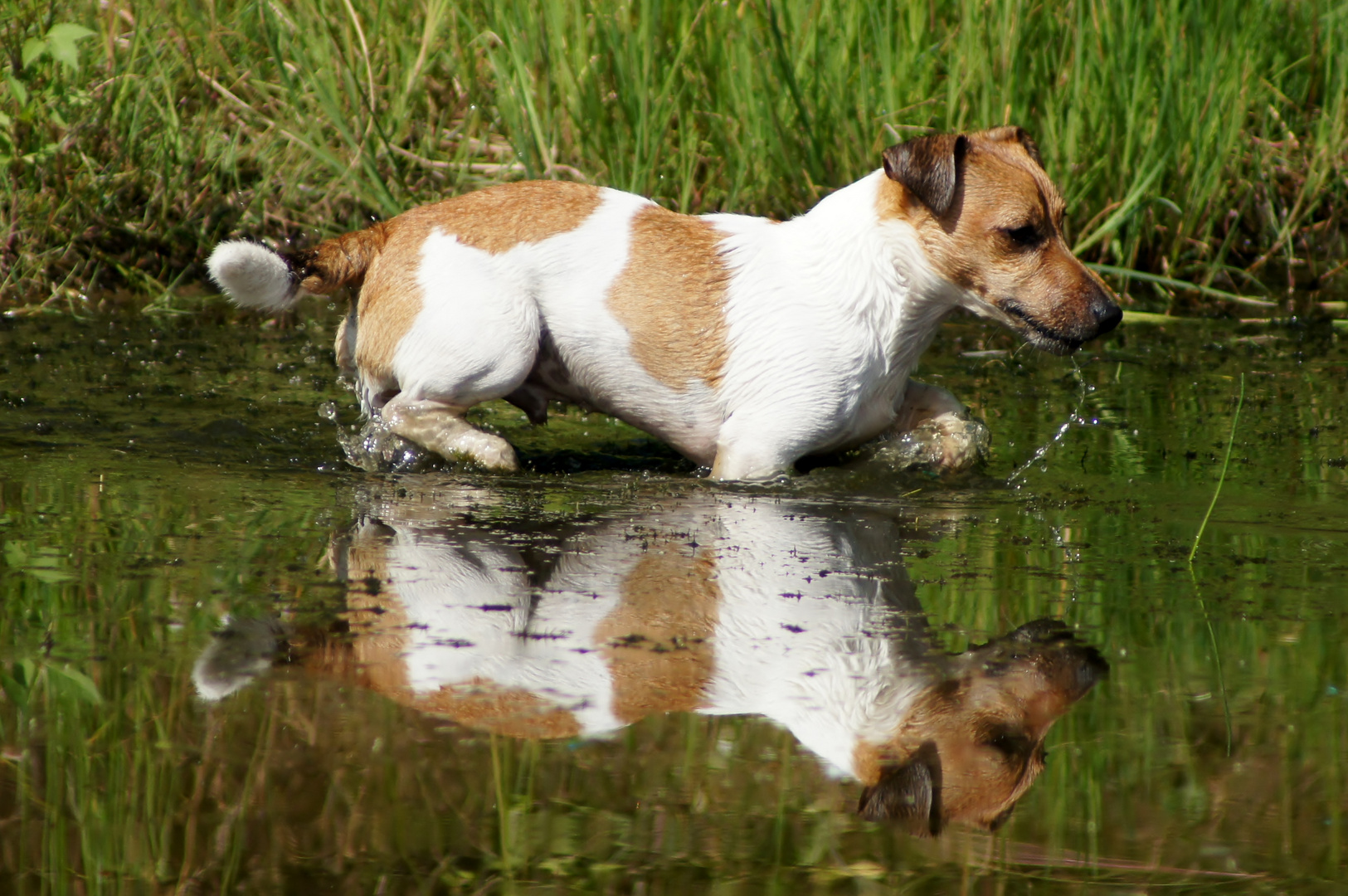 Wasser Spaß