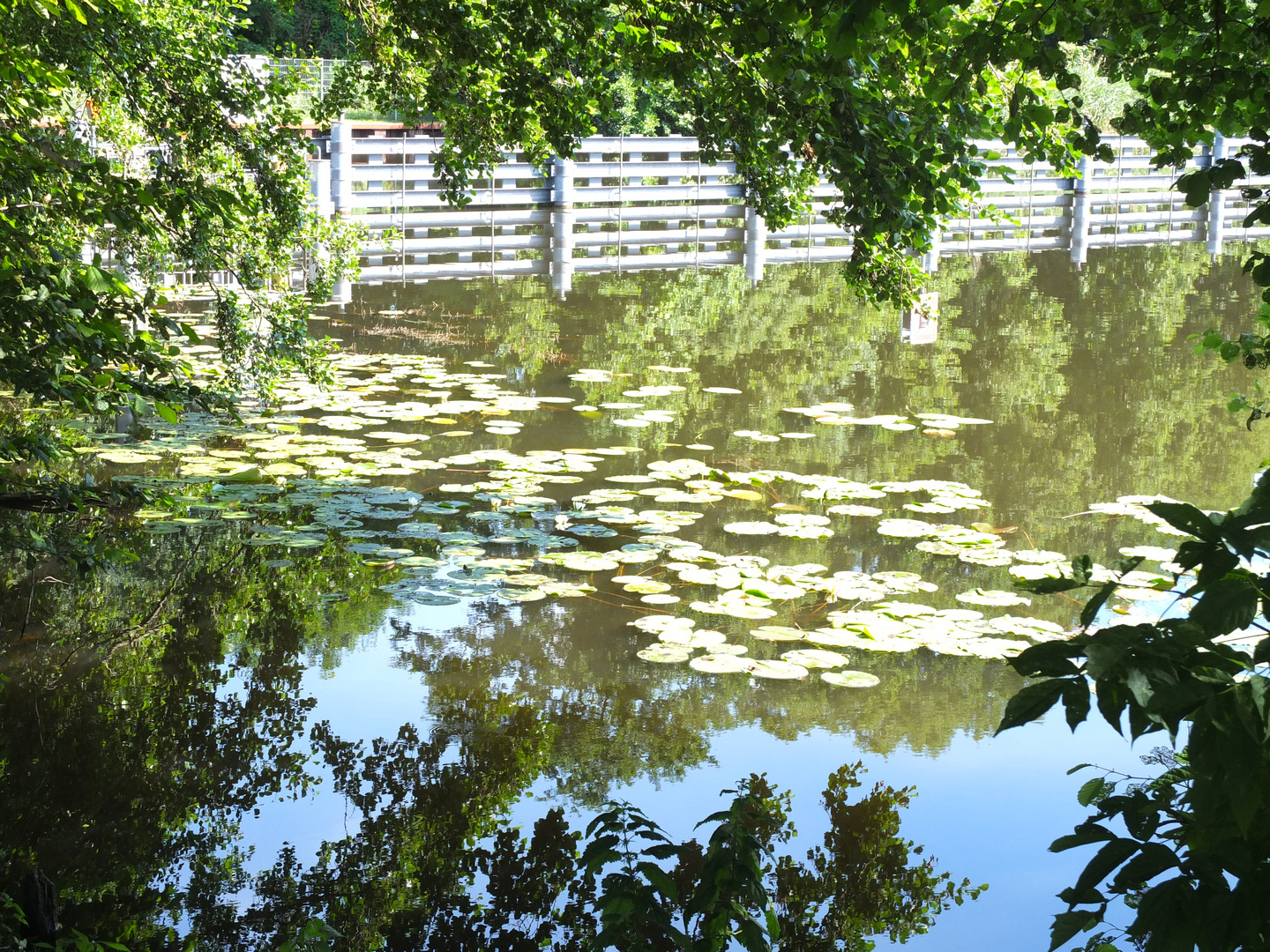 Wasser spiegelt schön