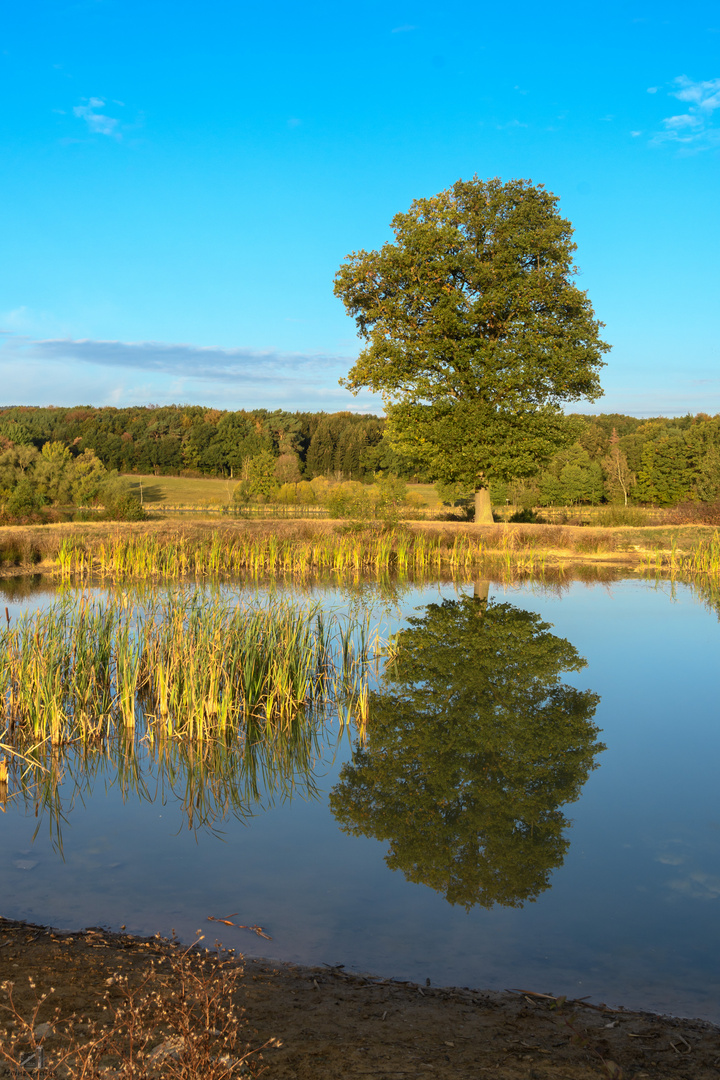 Wasser-Spiegelung