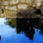 Wasser-Spiegelungen in Stade