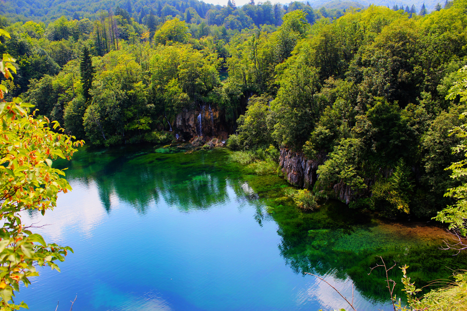 Wasser - Spiegelwelt