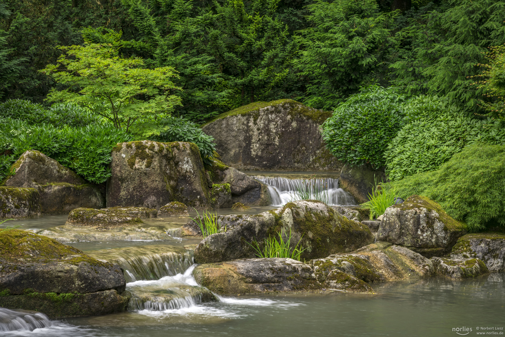 Wasser, Steine und Grün