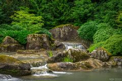 Wasser, Steine und Grün