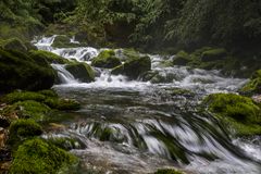 Wasser, Steine und Moos 2