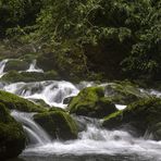 Wasser, Steine und Moos