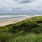 Wasser, Strand, Dünen