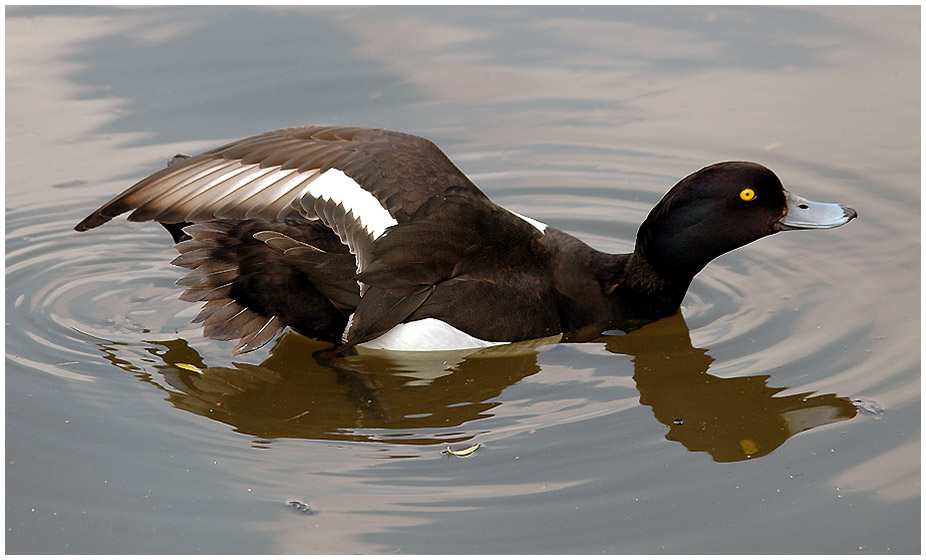 Wasser Stretching