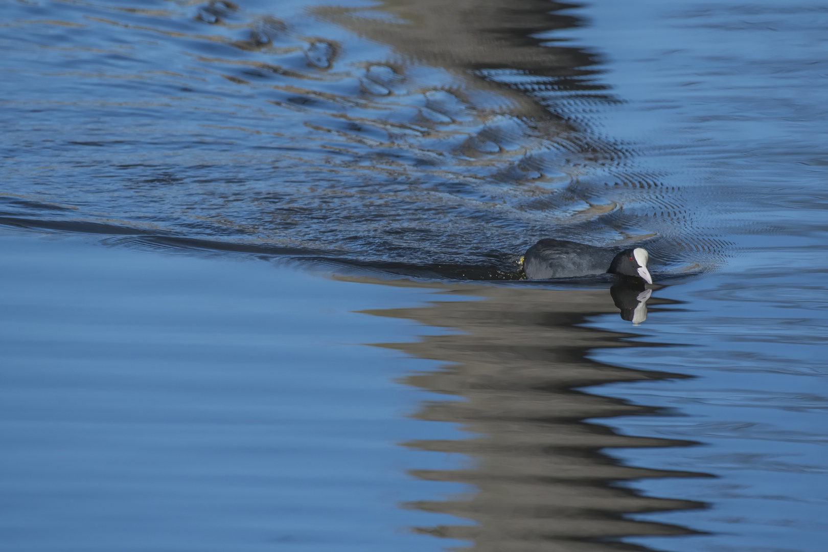 Wasser Strukturen & Reflexe