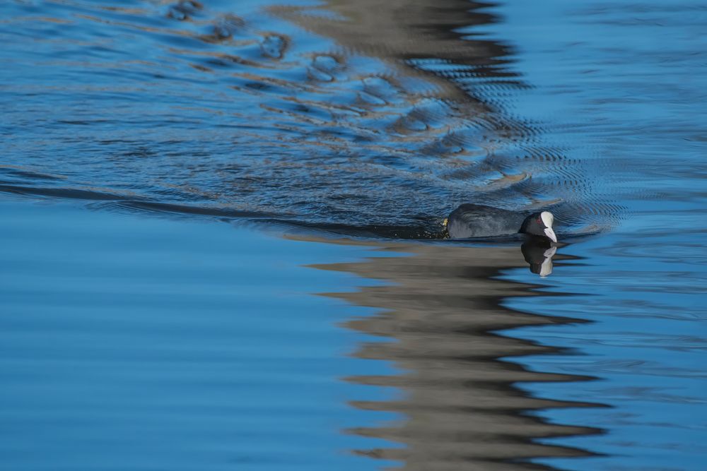 Wasser Strukturen & Reflexe