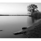 wasser, stück strand, baum