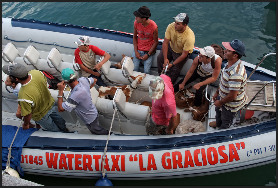 Wasser Taxi