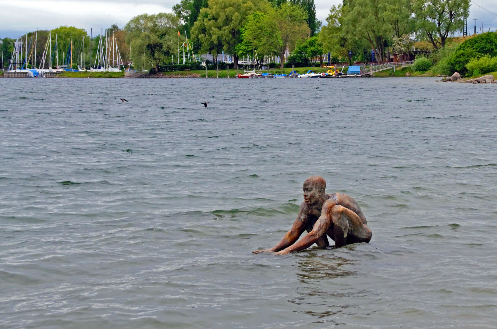 Wasser-Themperatur- Prüfer